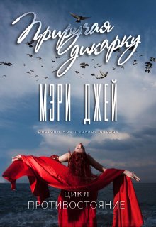 «Приручая Дикарку» Мэри Джей (Mary J)